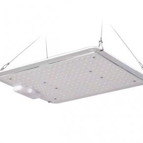 LED Grow Panel 100W