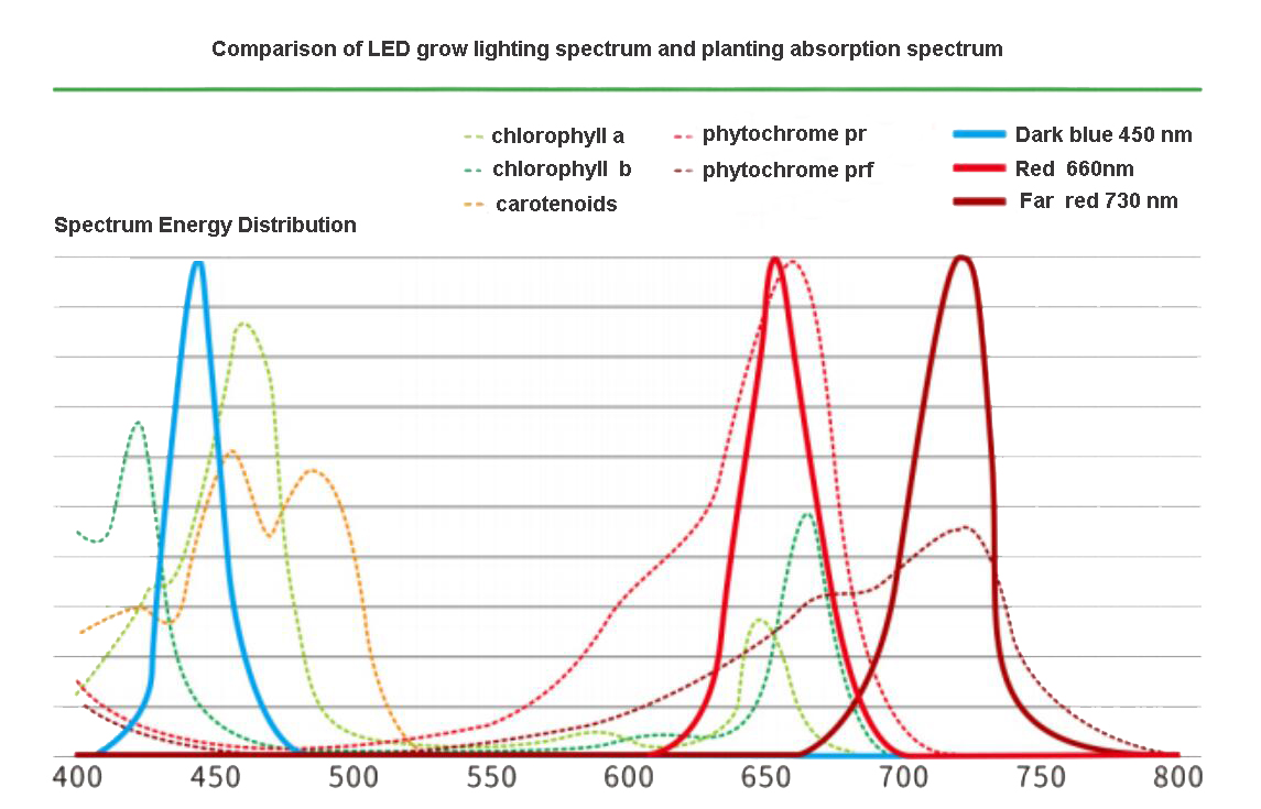 spectrum grow light EN.jpg