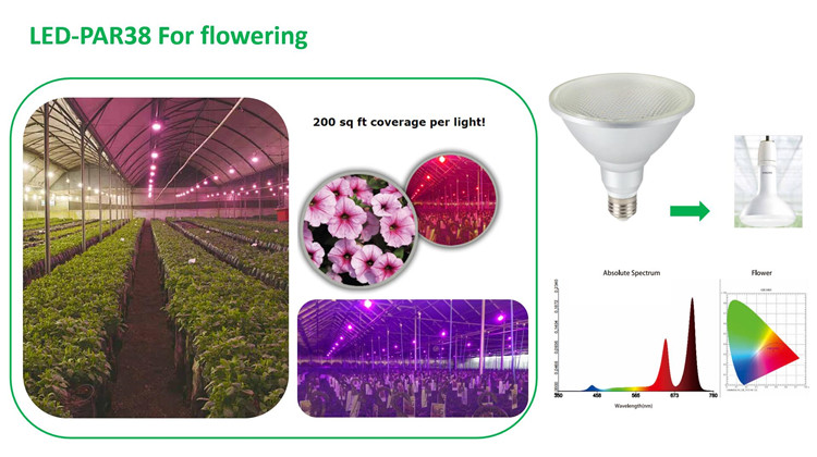 max grow light flowering light par38.jpg