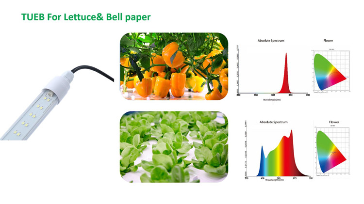 max grow light vegetable light tube.jpg